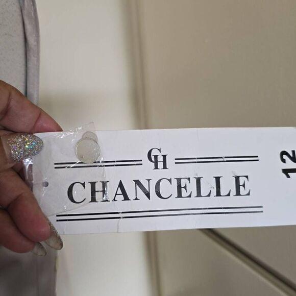 Chancelle champagne sheath dress with paillette embellishment at waist, NWT, Sz. - Picture 7 of 10